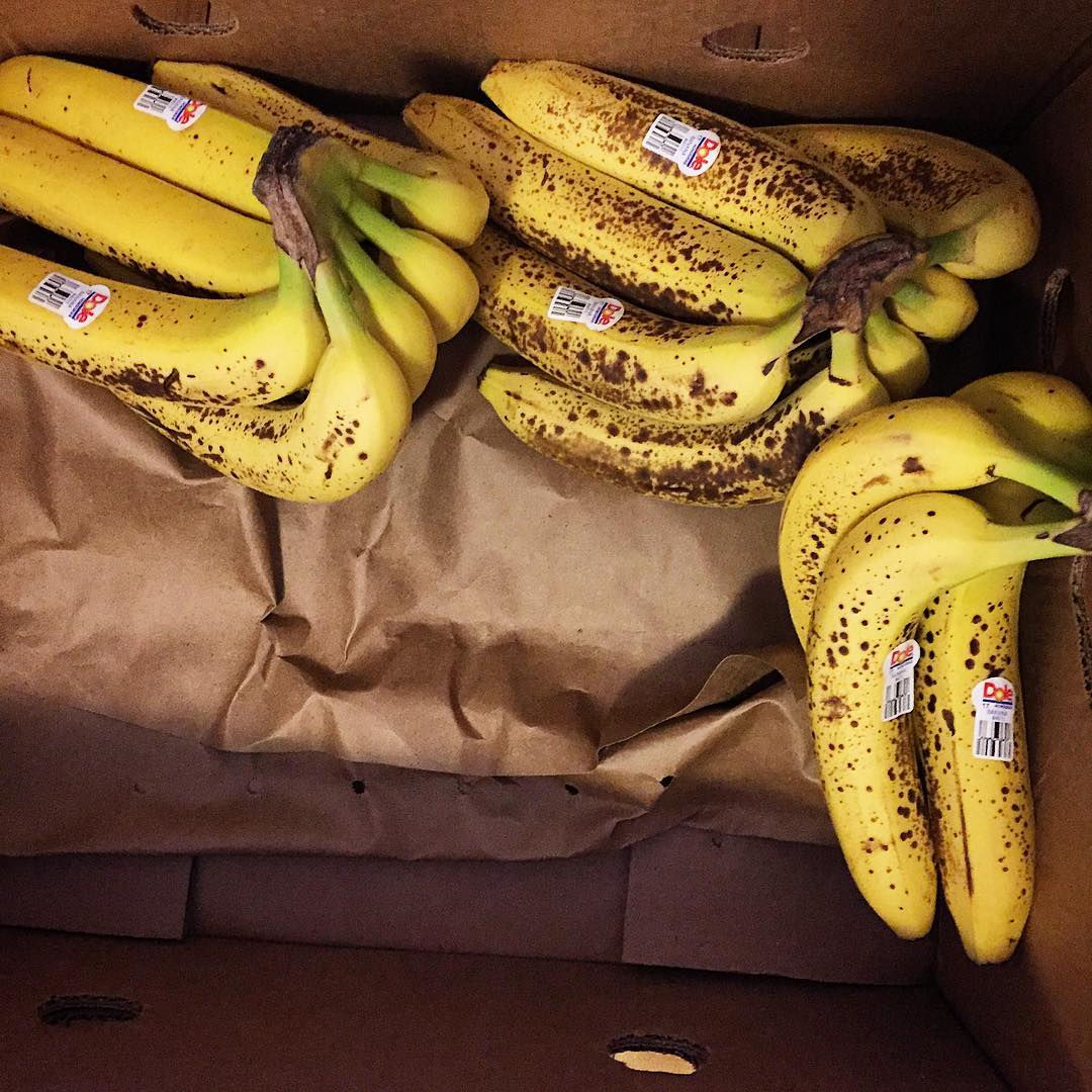 13098942_615986685215576_996839967_n1