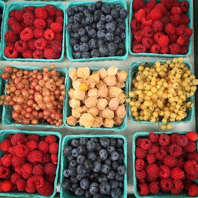 13694644_833918530074870_1576941669_n